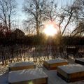 December i stadsodlingen