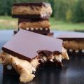 CHOCOLATE PEANUTBUTTER PRETZEL BAR