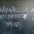 Trädgårdssallad med matvete & pesto
