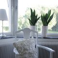 Lopiisfynd, sol och bad!