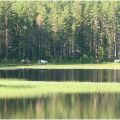 Sommar