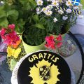 Skellefte AIK tårta