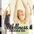 Tävling - Vinn två biljetter till Wellness[...]