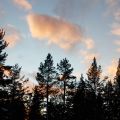 Hå hå ja ja