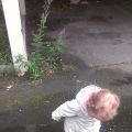 Happy Rain