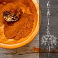 Superfoods: Sprängticka (Chaga)