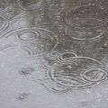 Semester-regn.