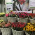 Miljömärkta blommor