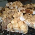 White Rocky Road