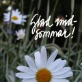 Sommarsolstånd