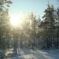 En strålande morgon!