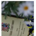 Hattenheimer Pfaffenberg Riesling Spätlese[...]