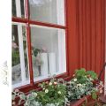 Jordgubbar till midsommar