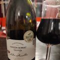 Druvan och vinet 54: Merlot; Maison Robert[...]