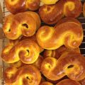 Lussekatter