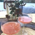 Pink Señorita och Roségin med grape och rosmarin