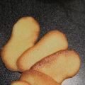 Langues de chat - Kattungor