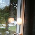 Bloggvinst