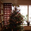 Lucia