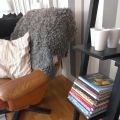 Veckans planering