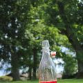 Ett glas sommar