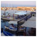 Dagen vaknar i Molyvos