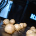 Minihavrekakor med kanel