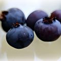 Fototriss - Frukt och bär