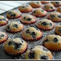 Miniblåbärsmuffins