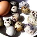 Vaktelägg