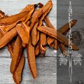 Superfoods: Lackticka (Reishi)