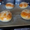 Burger Buns