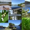 Matig dubbelmacka med färdiggrillad kyckling[...]