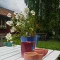 Tips runt Nora/Bergslagen