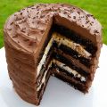 5 LAYER TOASTED MARSHMALLOW CARAMEL CHOCOLATE[...]