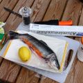 Hel grillad Röding i foliepaket med hjortronsås[...]