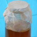 Kombucha