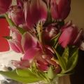 Veckans planering