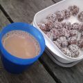 Skogsfika