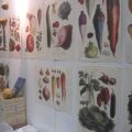 Mässfynd på Nordiska trädgårdar 2011
