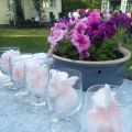Champagnecocktail med sockervadd