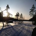 Träning