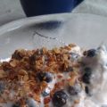 Ernst enkla sommardessert