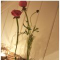 FREDAGSBLOMMOR.