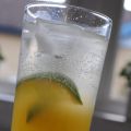 Mangodrink