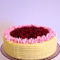 Gingerbread Cake