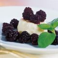 Smal pannacotta