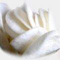 # Blogg 32 av 100 Räckchips