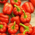 Paprika doftande köttgryta