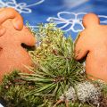 Pepparkakssäsongen inledd